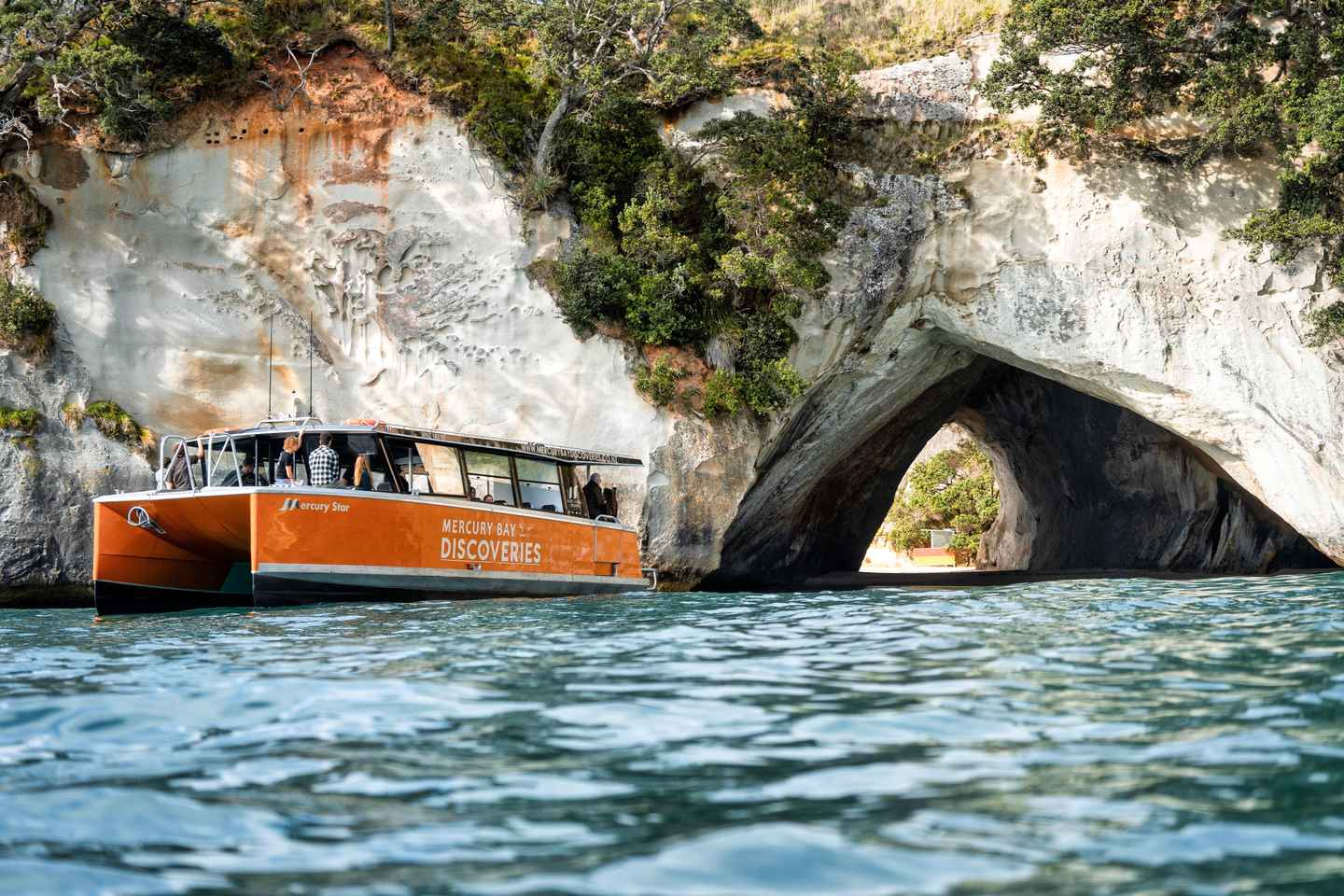 Cathedral Cove Coast and Cave Tour - Cathedral Cove Coast and Cave Tour