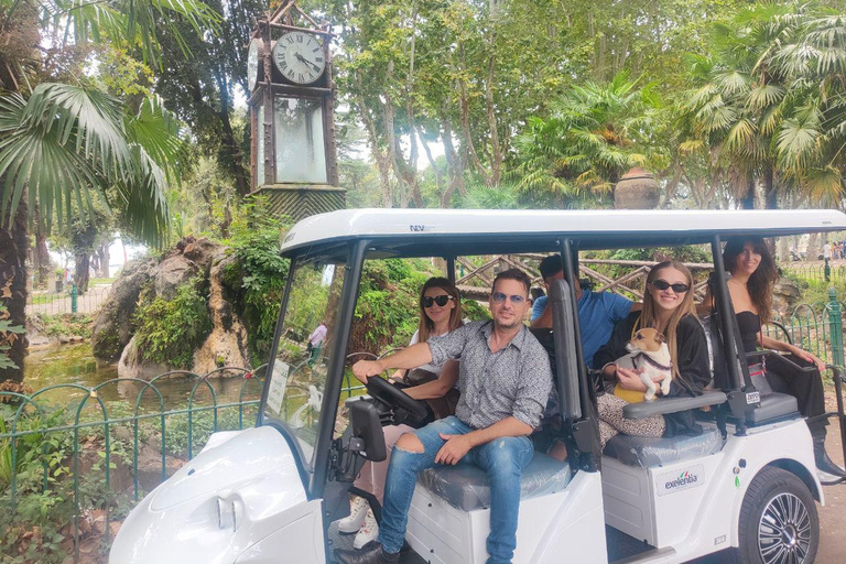 Roma: tour in golf cart con servizio di prelievo in hotelRoma: tour serali privati in golf cart nel centro della città