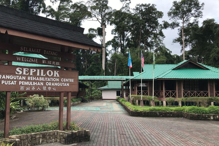 Ganztagestour in Sepilok Orang-Utan, Sonnenbär &amp; Stadtführung Sandakan(Private Tour) Sepilok Orang-Utan, Sonnenbär &amp; Stadtführung