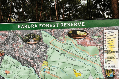 Nairobi: Karura and Oloolua Forests Guided Day Tour Private 2 pax