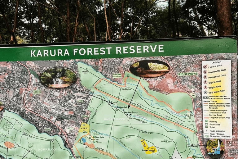 Nairobi: Karura and Oloolua Forests Guided Day Tour Private 2 pax