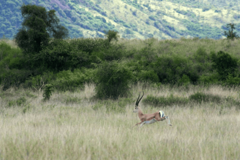 3 Days Exploring Arba Minch: Lakes, Tribes & Nature