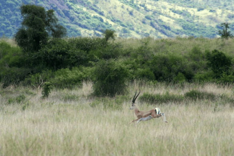 3 Days Exploring Arba Minch: Lakes, Tribes & Nature