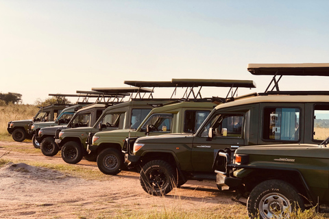 Kigali: Akagera National Park Safari with Lunch & Wi-Fi