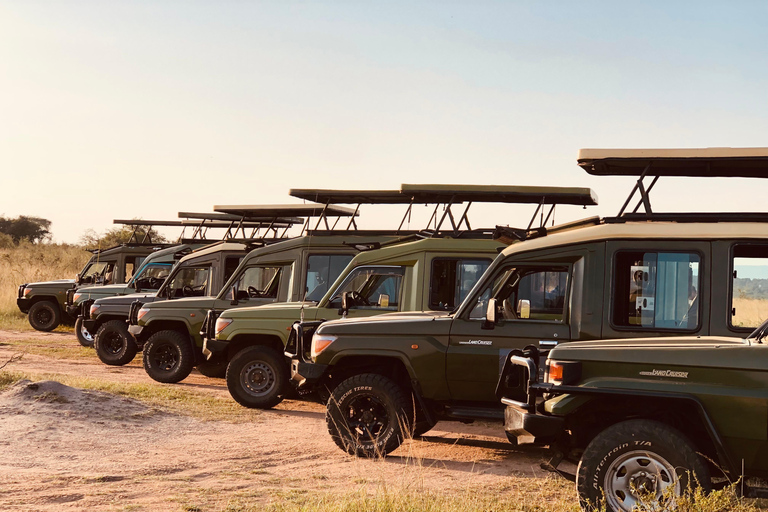 Kigali: Akagera National Park Safari with Lunch & Wi-Fi