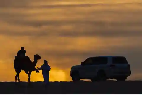 Doha: Stargazing Desert Safari mit Dünenbashing und Kamelritt