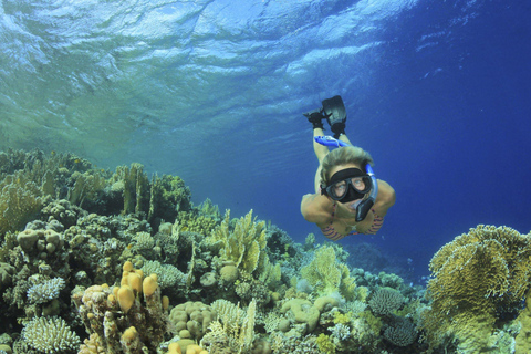 Sharm El Sheikh: Ras Mohamed & White Island Sea Trip, Diving Ras Mohamed, White Island Snorkel Small Package w/Lunch