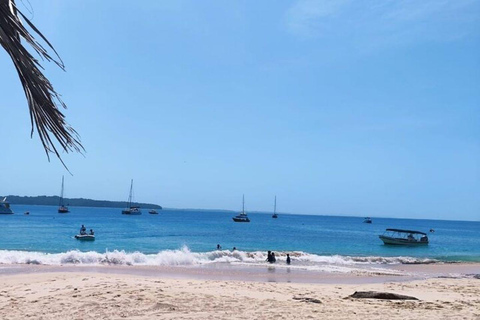 Panama City: Whale Watching Tour with Island Stop