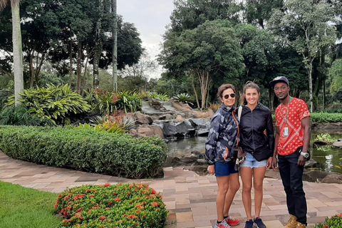 Iguazu Falls and Triple Border Tour (Brazil and Argentina) Full excursion: transf. In,out Cataratas BR. Bird park, cat.ARG.