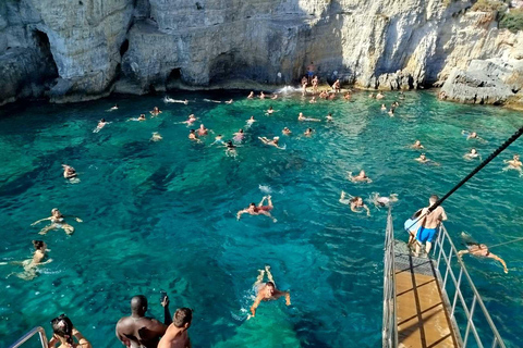 Zakynthos: Cruise to the famous shipwreck Navagio.