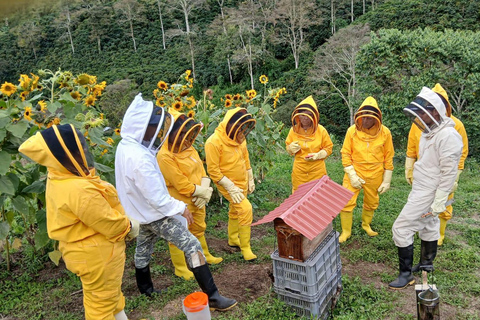From Medellín: Honey Tour, Visit the Bees