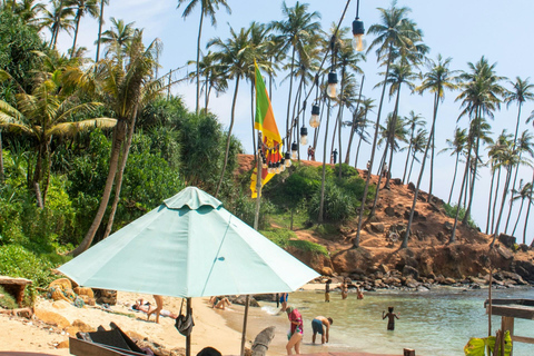 米里萨或卡尔皮蒂亚冲浪营之旅（适合初学者和专家）