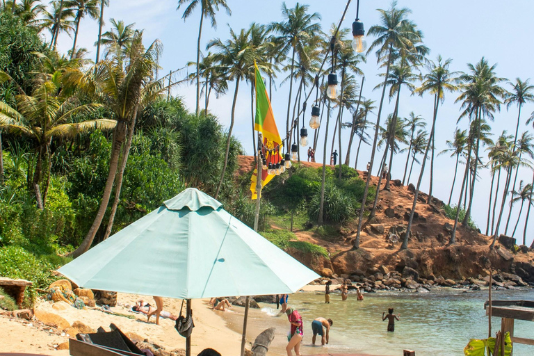 米里萨或卡尔皮蒂亚冲浪营之旅（适合初学者和专家）