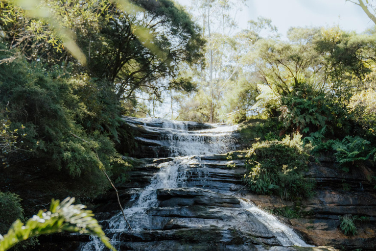 蓝山之旅：风景世界、翎羽谷（最多10人）蓝山之旅：风景世界、翎羽谷（含接送）