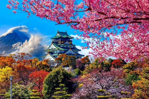 Depuis Kyoto/Osaka/Nara : Visite privée d'Osaka en voiture de luxe