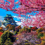 Tour privado personalizado por Osaka con guía de habla inglesa
