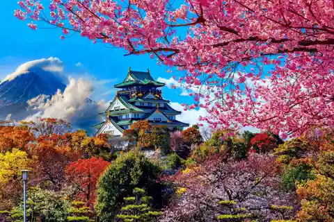 Fra Kyoto/Osaka/Nara: Privat tur i luksusbil i Osaka