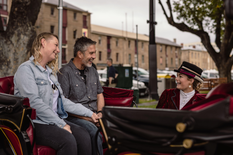 Salamanca Jaunt Carriage Tour