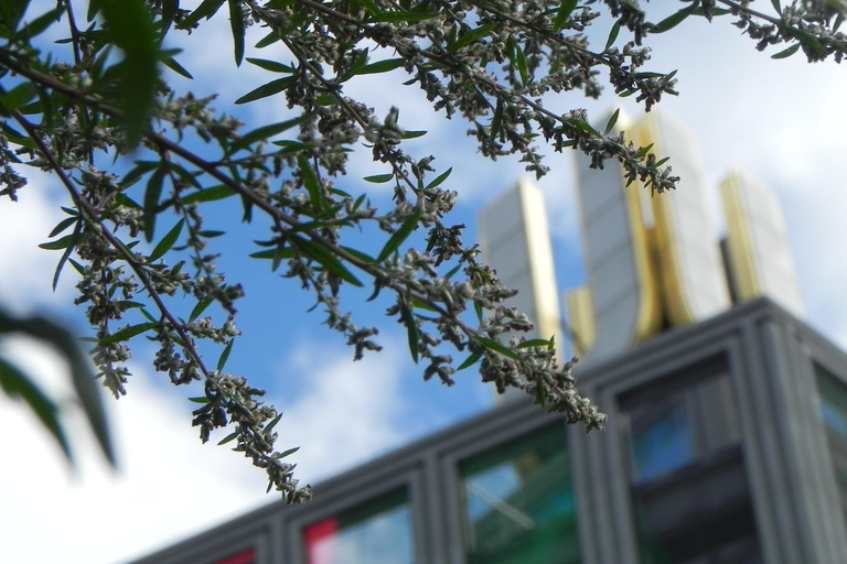Dortmund Beer History – Guided Tour with Tasting Dortmund beer stories - Guided tour with tasting