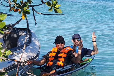 Iguana Insel und Mangroven Öko-Tour spannende Zeit