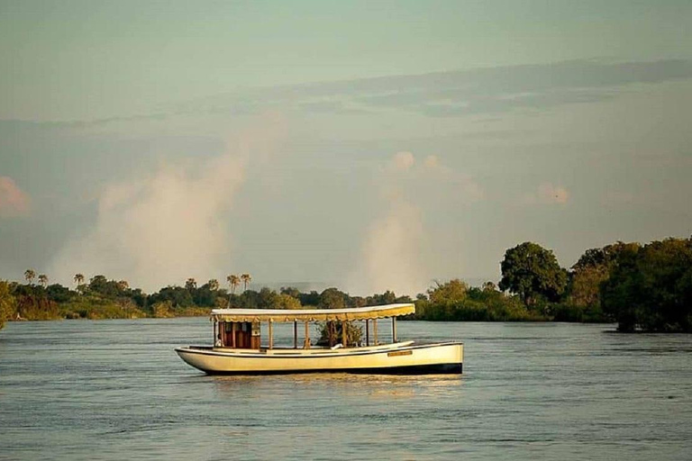 Victoria Falls: Zambezi River Birdwatching Cruise & Pickup