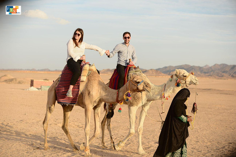 Hurghada : Observation des étoiles et dîner aux chandelles avec QuadObservation des étoiles, balade en quad et spectacle de danse avec transfert privé