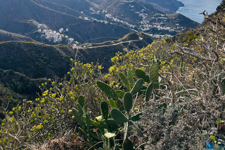 South Tenerife: Off-the-beaten-track buggy adventure South Tenerife: Full-Day Self-Drive Buggy Experience