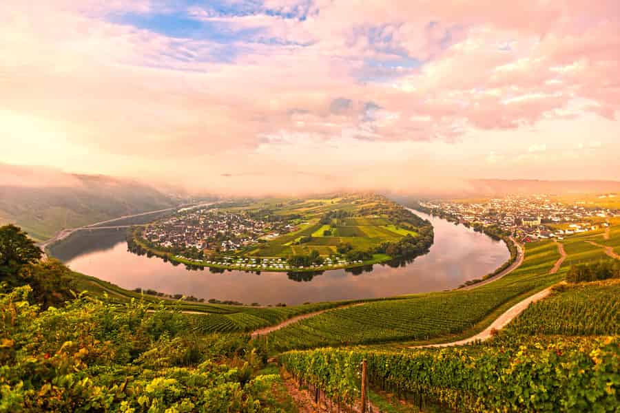 Kröv Gut Hermes: Mosel Panorama Planwagenfahrt mit Sekt & Weinprobe. Foto: GetYourGuide