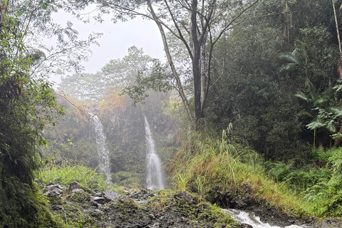 Hilo: Waterfall Hike and Swim with Native Hawaiian