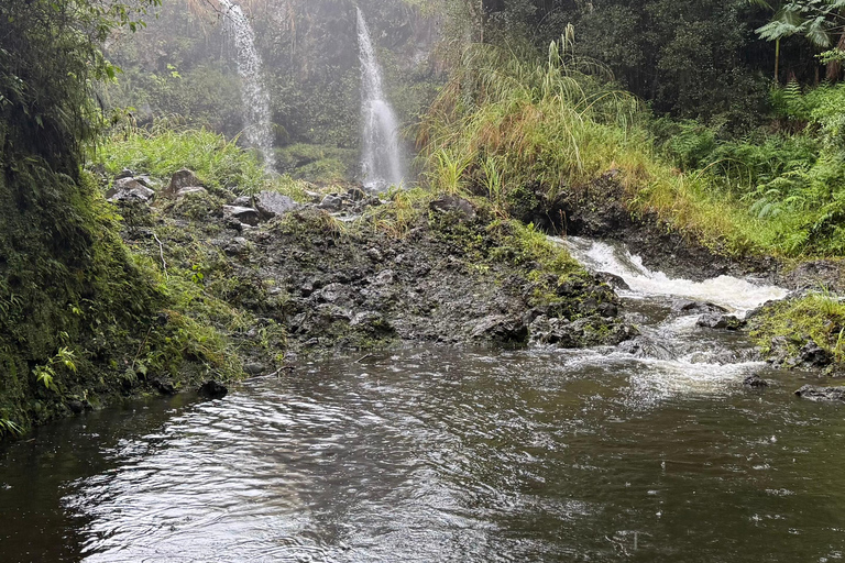 Hilo: Waterfall Hike and Swim with Native Hawaiian