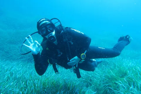 Malta: Scuba Diving Experience for Beginners w/certificate