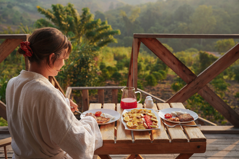 Kibale National Park Chimpanzee Trekking, Culture, Farm tour