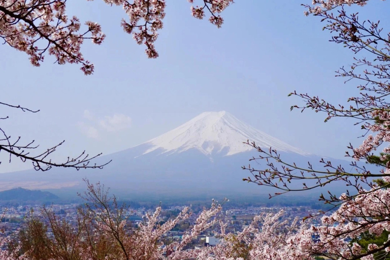 Tokyo:Mt. Fuji 5th Station & Onsen Day Trip | Summer Special 08:30 | Meet at Shinjuku West Exit, SMBC