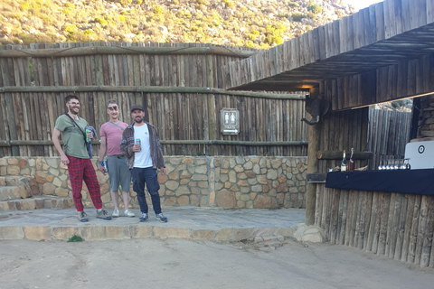 Cape Town: Cape Town Big Five Sunset Safari with Snacks