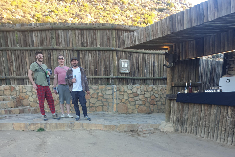 Cape Town: Cape Town Big Five Sunset Safari with Snacks