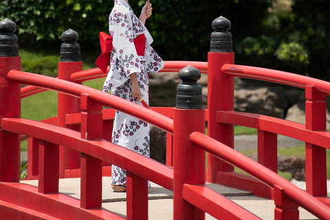 Nikko: Private Day Trip Nikko Private Day Trip with Hotel pickup/drop off