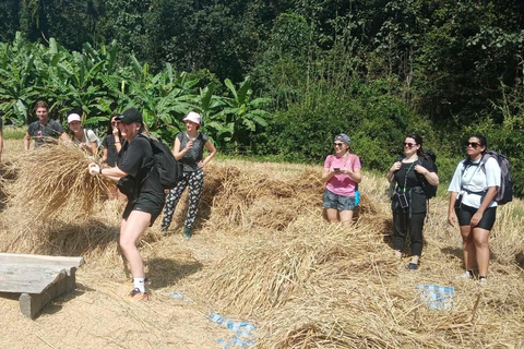 Chiang Mai: 2-dagars djungelvandring med elefantfarm och forsränning