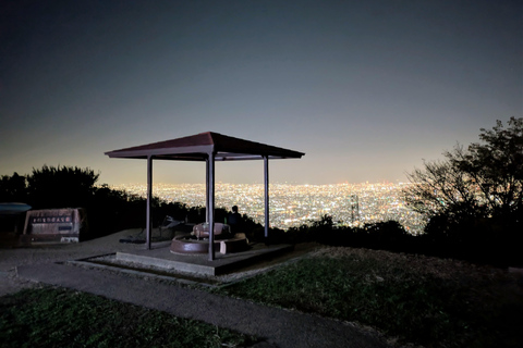 Osaka: tour serale del Monte Ikoma con lo Skyline TollwayOsaka: tour serale del Monte Ikoma con Skyline Tollway