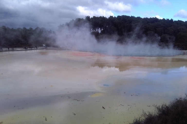 Auckland: Tour di 3 giorni di Hobbiton, Rotorua, Waiotapu e Waitomo