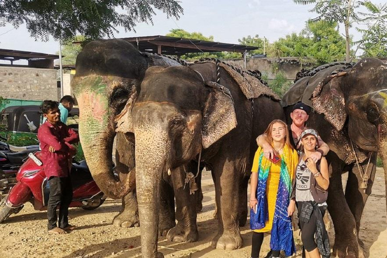 Jaipur: Hathigao Elephant Village Ride, Feeding, & Photos Riding, Feeding, Climbing And Photography with Elephant