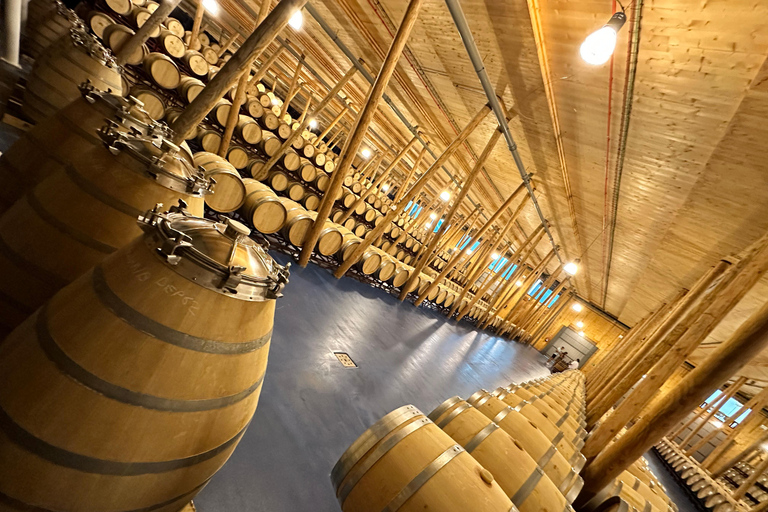 Ribera del Duero Sightseeing Tour: From Madrid to the Ribera del Duero - lunch included RIBERA DEL DUERO WITH FULL LUNCH INCLUDED