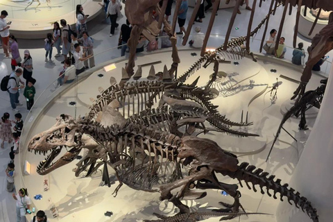 Shenzhen: Natural History Museum Landmark Priority Pass