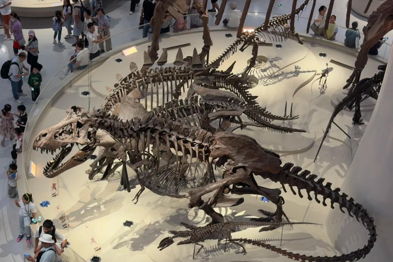 Shenzhen: Natural History Museum Landmark Priority Pass
