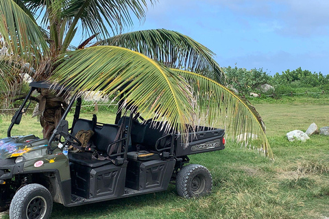 Sint Maarten Tour guiado en quad y buggy con vistas panorámicasExcursión en quad