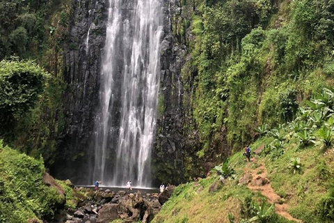 Moshi: Materuni Wasserfälle, Kaffee und Hotsprings Tour