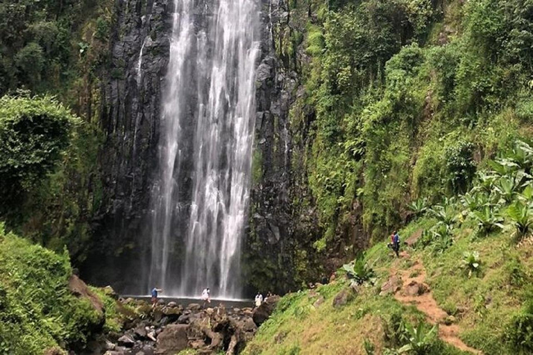 Moshi: Materuni Waterfalls, Coffee, and Hotsprings tour