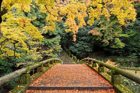 Minoo Park Adventure: Nature, Temples, and Coffee Bliss French guided tour