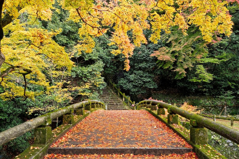 Minoo Park Adventure: Nature, Temples, and Coffee Bliss French guided tour