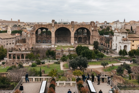 Coliseo, Foro Romano y monte Palatino: tour sin colasColiseo (arena central), Foro y mte. Palatino: tour francés