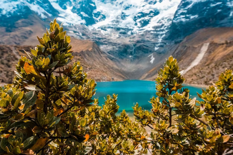 Discovering Laguna Humantay 1 Day: Andean Glacier